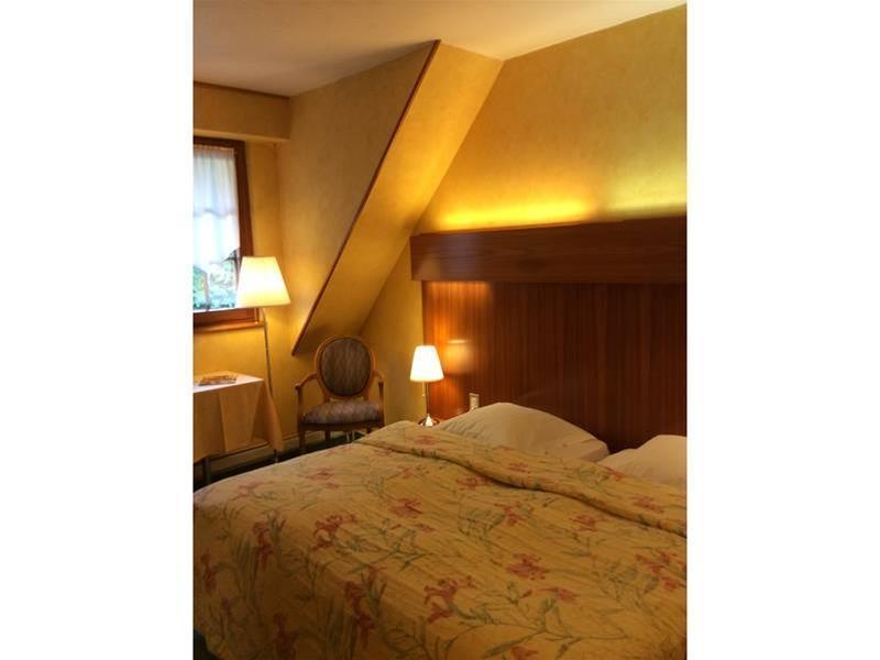 Domaine Le Moulin Hotell Ottrott Eksteriør bilde